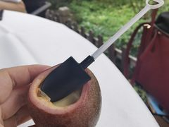 -顺德渔村·岭南一号