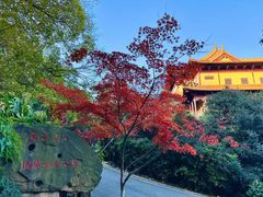 -南京市江宁方山