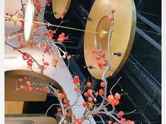 -佬肥猫(国华广场店)