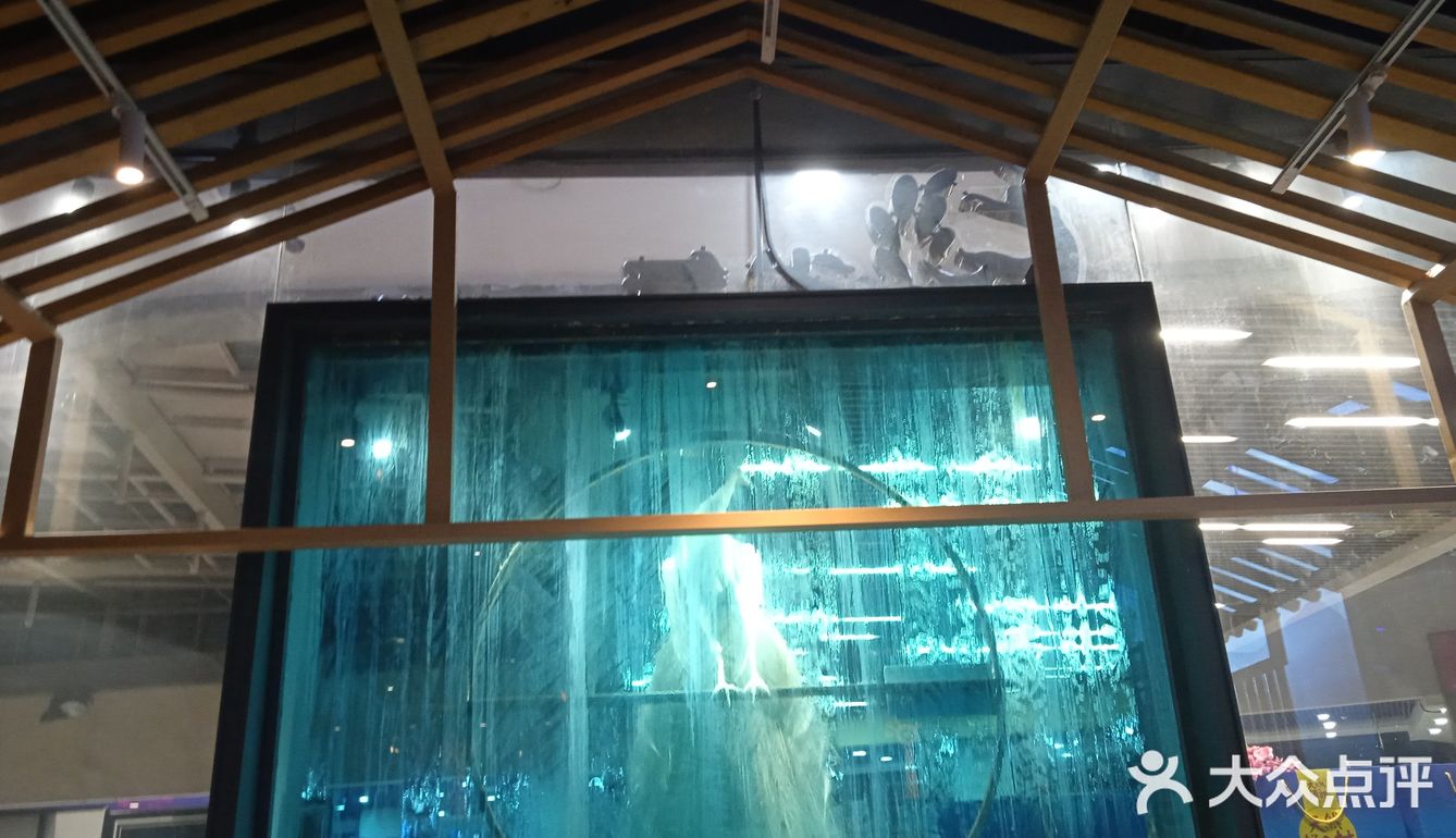 唯美食不可辜负