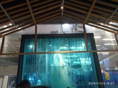 -雀舞云南菜(乐客城店)