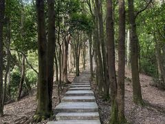 -火炉山森林公园