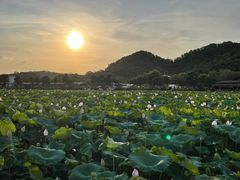 -红山村