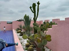 -漳州滨海火山岛自然生态风景区