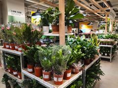 -宜家家居(西安未央商场店)