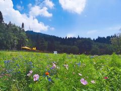 -武陵山森林公园