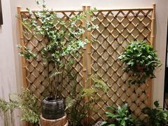 -丹楓雨露(乐基广场店)