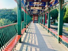 -北京十三陵国家森林公园蟒山景区