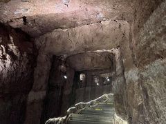 -中国西峡恐龙遗迹园