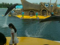 android_upload_pic-秦皇岛乐岛海洋王国