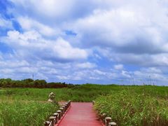 -春花秋色城市公园