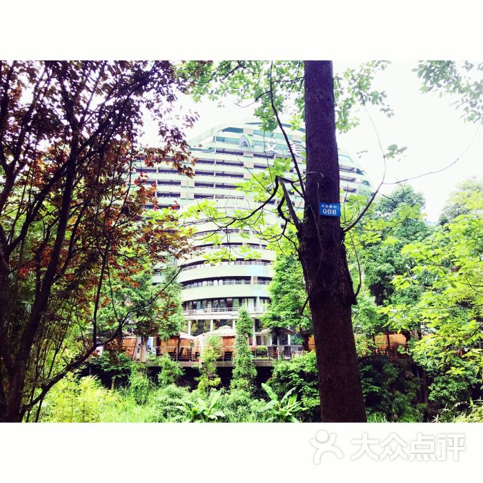 花水湾名人度假酒店图片 - 第231张