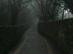 -普陀山佛顶山索道