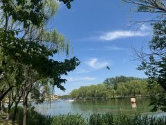 -WhaleSports户外水上运动俱乐部(朝阳公园店)
