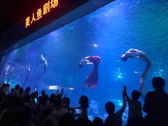 -福州罗源湾海洋世界旅游区