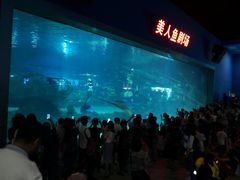 -福州罗源湾海洋世界旅游区