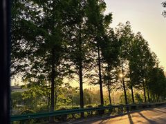 -黟县屏山村