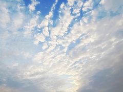 -海珠湖公园