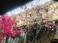 -胖大姐黄辣丁鱼庄(新津店)