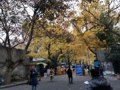 -四川大学(华西校区)