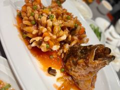 -燕春楼(海河华鼎店)