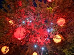 -唐城墙遗址公园