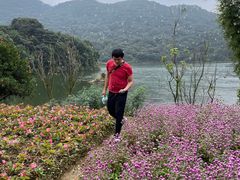 -广州市石门国家森林公园