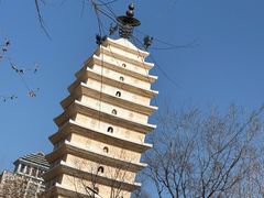 -真庆观