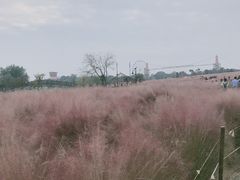 -花博汇(知音花月夜)