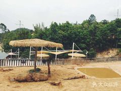 -泉州海丝野生动物世界