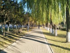 -东北农业大学饺子园