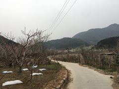 -老象峰