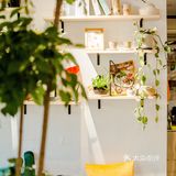 美食探店｜今天你喝糖水了吗[糖果]