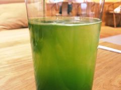 -柴务处·柴犬主题狗咖