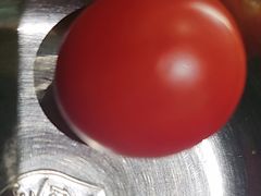 -采椰郎椰子鸡·脆皮鸡火锅(融创茂店)