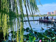 -济南大明湖景区
