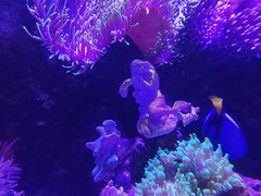 -太平洋海底世界