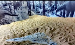 -恐龙探索乐园(磁器口店)