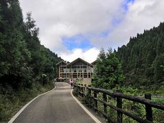 -武陵山森林公园