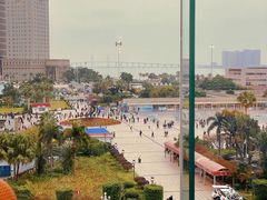 -金苑海鲜酒家(来魅力店)