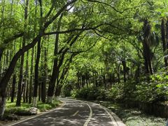 -采石矶景区