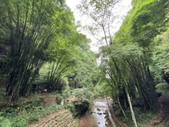 -川西竹海景区