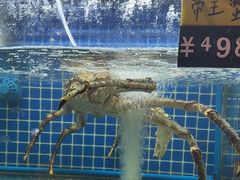 -金龙·打边炉(南京西路店)