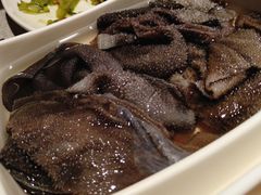 捞派毛肚-海底捞火锅(大融城店)