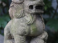 -秋霞圃