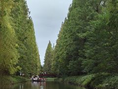 -黄海国家森林公园