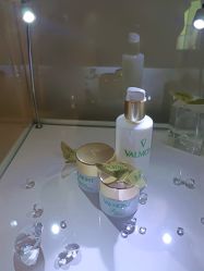 -安吉拉青春化管理中心