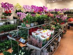 -双季花艺园艺市场(浦东店)