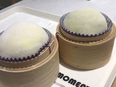 -ICEPOPO MILK(玖洲道店)
