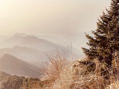 -泰山风景名胜区